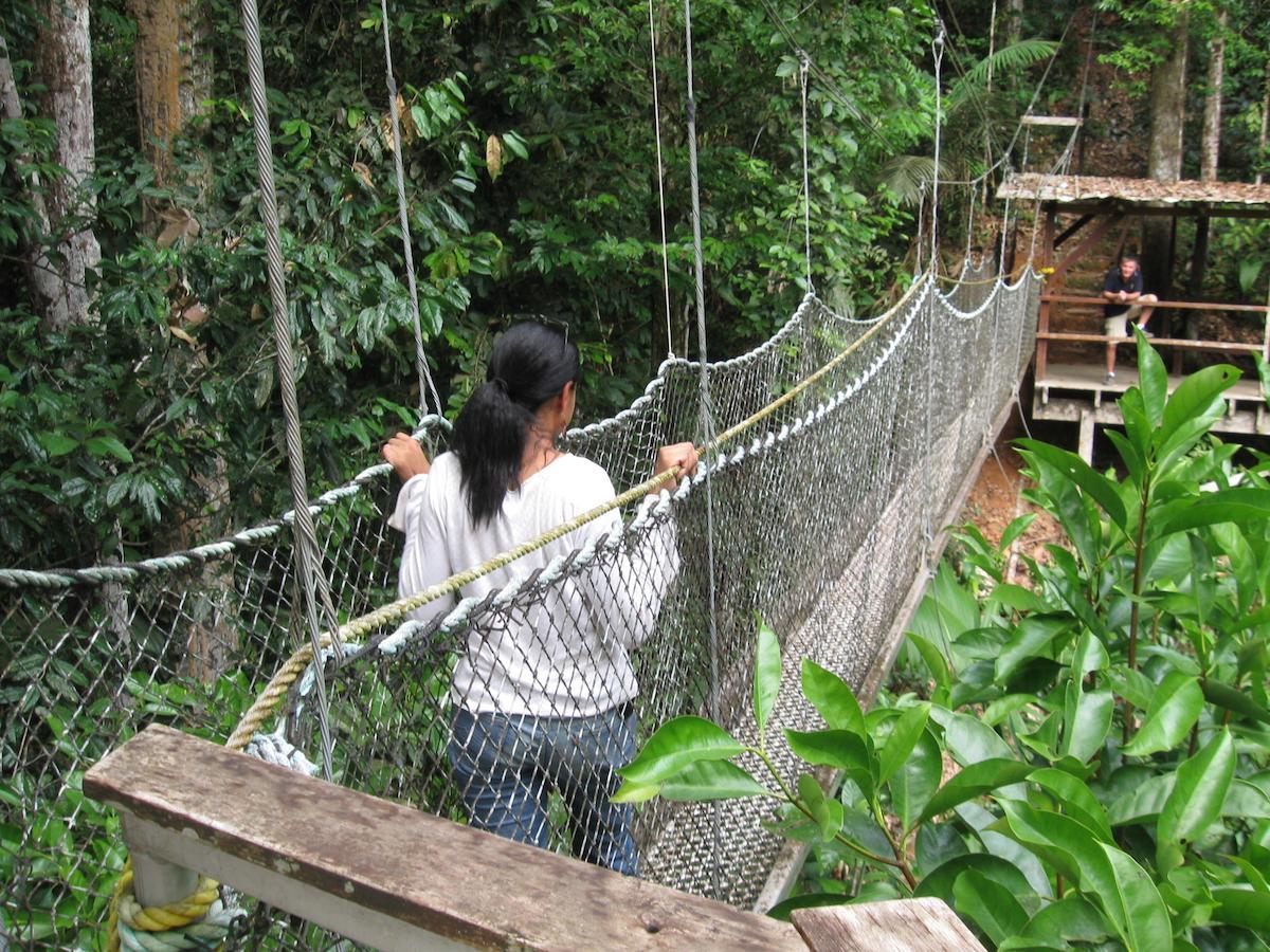 Iwokrama River Lodge Makari Esterno foto